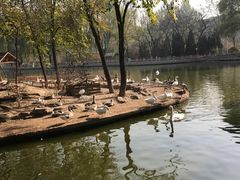 -太原动物园
