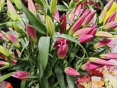 -桂林市花鸟市场