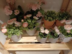 -宜家家居(西安未央商场店)