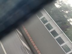 -九毛九西北菜(百信广场店)