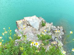 -水濂山森林公园