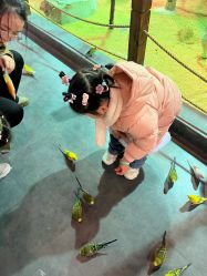 -酷嗒动物文化乐园(cutezoo西溪乐天城店)