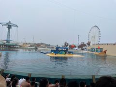 -秦皇岛乐岛海洋王国