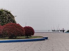 -贡湖湾湿地公园