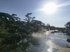 -罗红摄影艺术馆