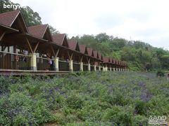 -德庆盘龙峡生态旅游区