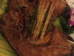 -紫滇源云南生态菜(丹凤街店)