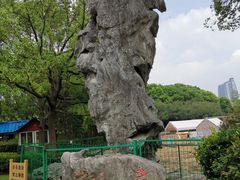 -黄兴公园