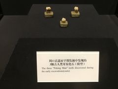 -北京周口店北京人遗址博物馆