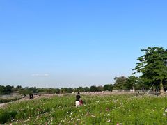 -海珠湖公园