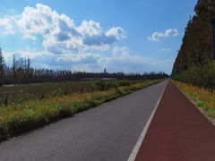 -上海长兴岛郊野公园