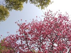 -苏州上方山国家森林公园
