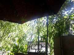 android_upload_pic-朱家小厨(红塔西路店)