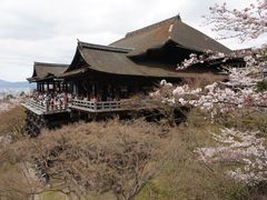 景点-有栖山 清光院 清水寺