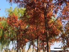 -杭州城北体育公园