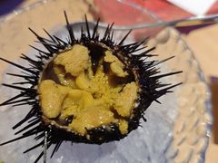 -琴寿司居酒屋(中山广场店)