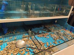 -龙岩佰翔京华酒店(京华购物中心店)