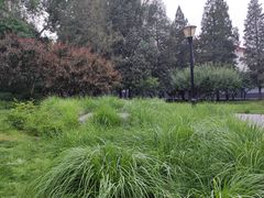 -玲珑塔公园