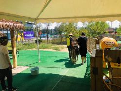 -萌宠亲子动物乐园(槐房万达店)