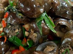 阳朔特色田螺酿-生态苑农庄(十里画廊遇龙河店)