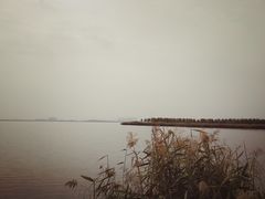 -天津东丽湖风景区