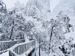 -光雾山旅游景区