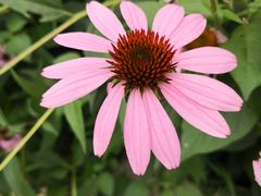 -昆山城市生态森林公园