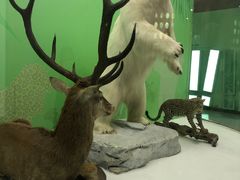 -国家自然博物馆