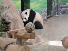 -临沂动植物园