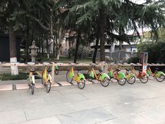 -木塔寺遗址生态公园