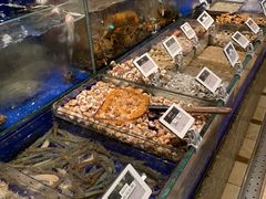 水产区-高佳庄·舟山海鲜(海景旗舰店)