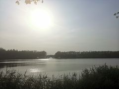 -大兴滨河森林公园