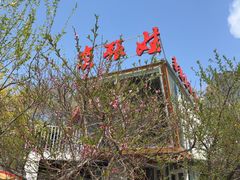 -青海名吃尕张娃非遗烤肉(城中店)