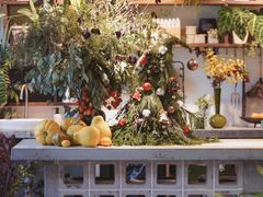 -自由生长植物工作室(深港花卉中心店)