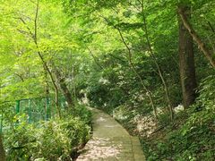 -南山风景名胜区