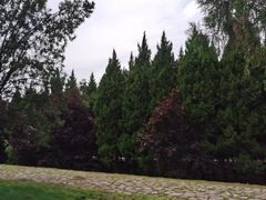 -秦始皇帝陵博物院-丽山园