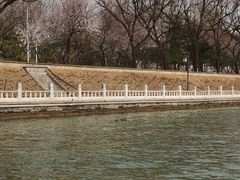 -皇家御河游(紫御湾码头)
