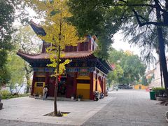 -宝通禅寺