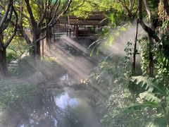 -厦门园林博览苑