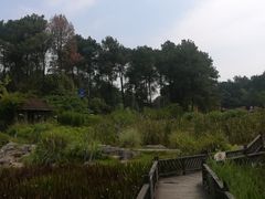 -铁山坪森林公园