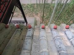 -望江楼公园