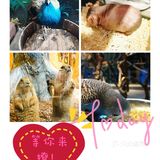 一起来撩吧[调皮]