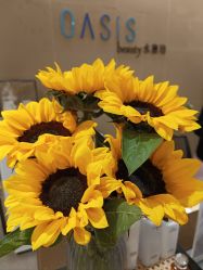 -Oasis Beauty水磨坊科技美肤中心