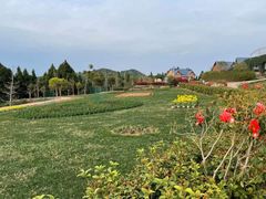 -中国香山·寿香谷