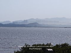 -福田红树林生态公园