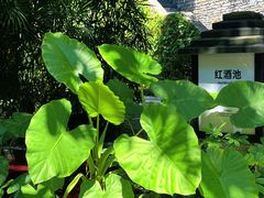 -融汇温泉