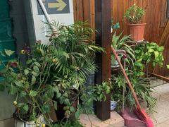 -小陆莲花蟹园农家乐(莲花岛店)