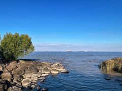 -上海吴淞炮台湾国家湿地公园