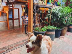 -豆舞咖啡(民乐路店)