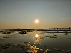 -红树林天天赶海